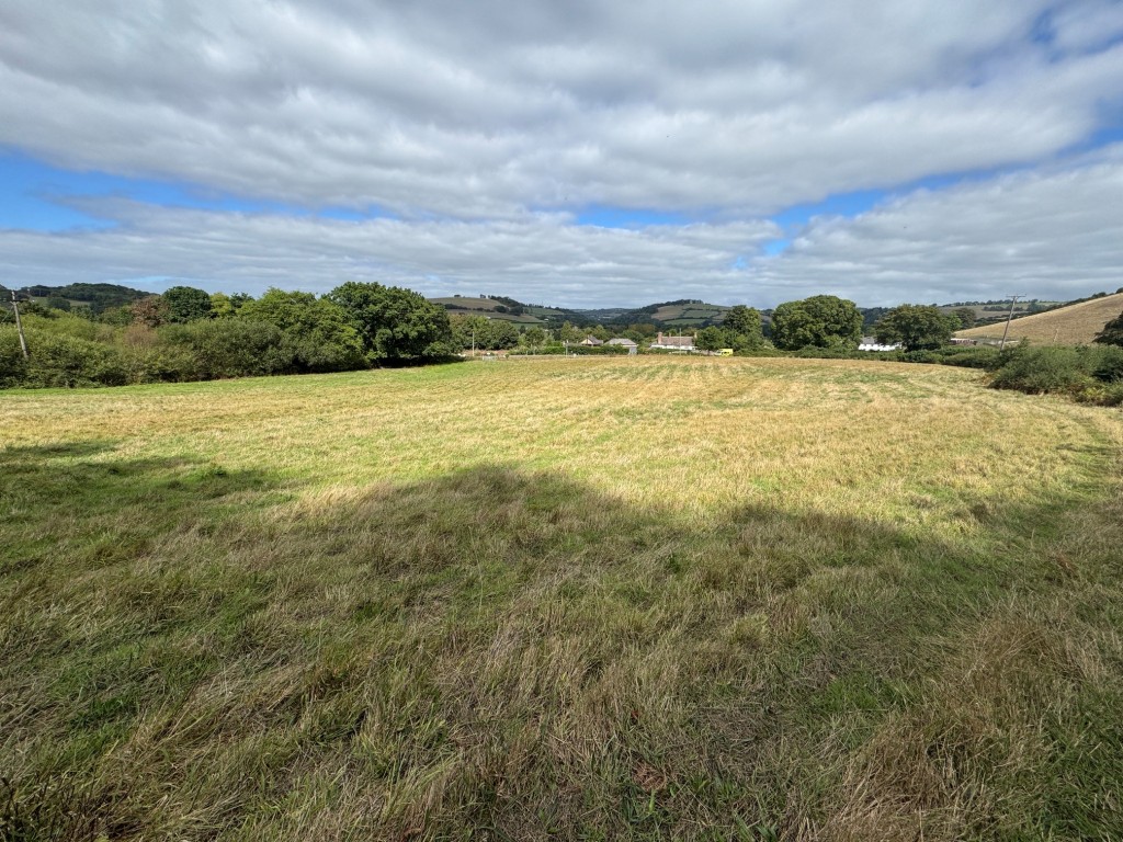 Lot: 44 - OVER THREE ACRES PADDOCK LAND WITH FRONTAGE - General view of paddock 1